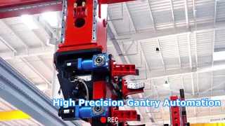 Gantry Truss Manipulator